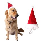Dog Accessories for Christmas