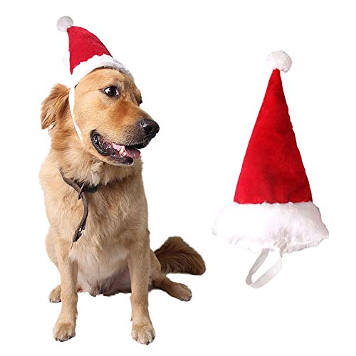 Dog Accessories for Christmas