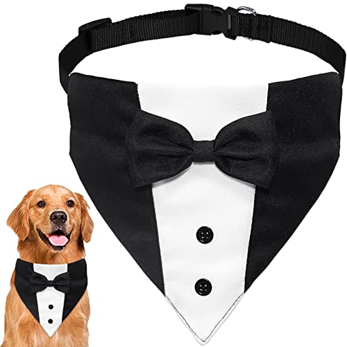 Dog Accessories for Weddings