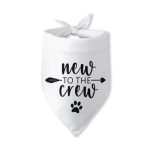 Dog Accessories near Me