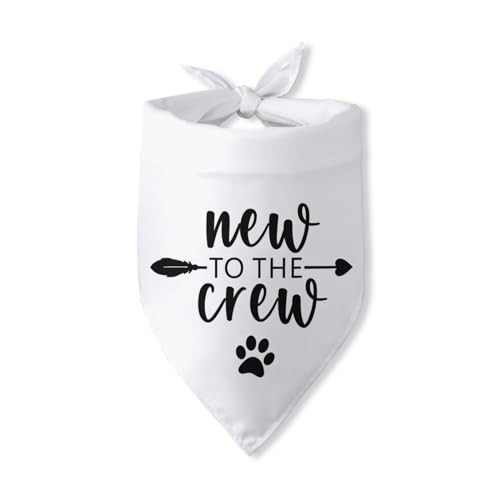 Dog Accessories near Me