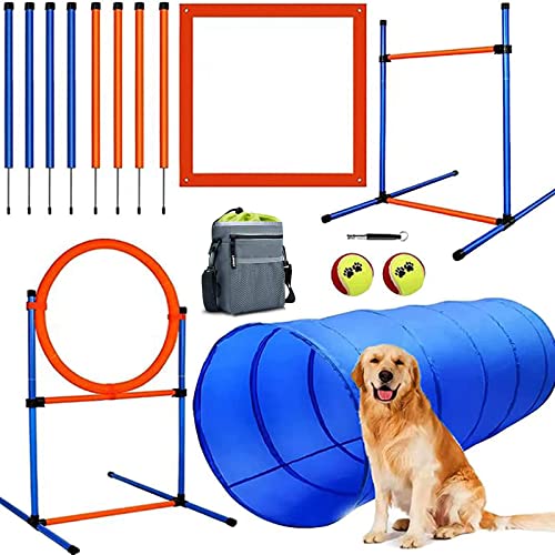 Dog Agility Training Accessories