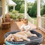 Dog Bed And Accessories