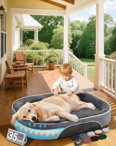 Dog Bed And Accessories