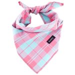 Dog Clothes And Accessories
