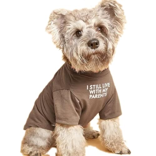Dog Clothes And Accessories for Small Dogs