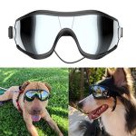 Dog Clothing And Accessories