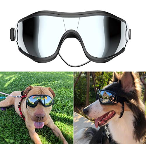 Dog Clothing And Accessories