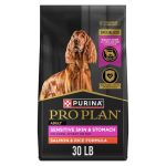 Dog Food Best for Allergies