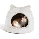Dogs Best Friend Cats Meow