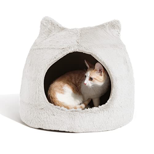 Dogs Best Friend Cats Meow