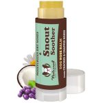 Dogs With the Best Nose