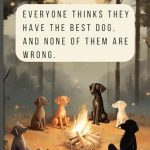 Everyone Thinks They Have the Best Dog
