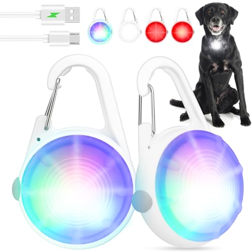 Glow in the Dark Dog Accessories