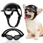Harley-Davidson Dog Accessories