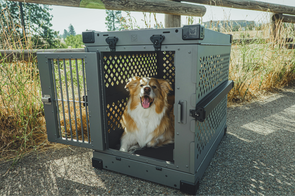 How Much Does It Cost to Travel With a Dog