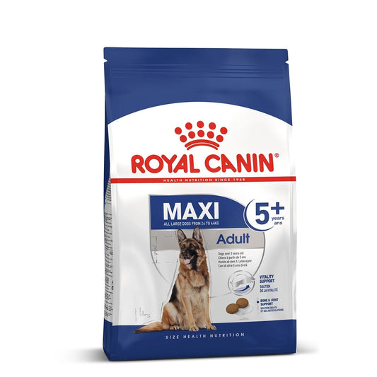 How Much Dog Food for Adult Doberman