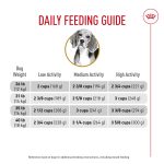 How Much Dog Food Shou You Feed.An.Adult.Beagle