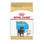 How Much Dog Food Should Adult Male Rottweiler