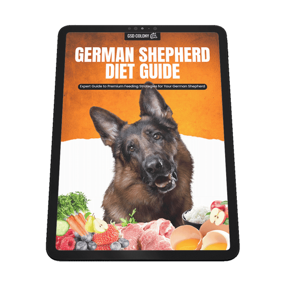 How Much Dog Food Should an Adult Male Sherpard Eat