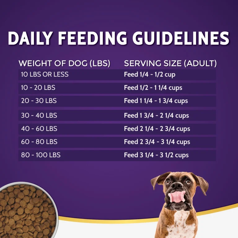 How Much Food Do You Feed a 10 Adult Dog