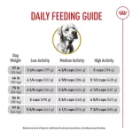How Much Food for 45 Lb Adult Dog