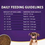 How Much Food to Feed a 10 Lb Adult Dog