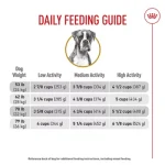 How Much Food to Feed an Adult Boxer Dog
