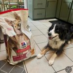 How Much Phosphorus in Hill'S Science Diet Adult Dog Food