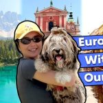 How Much to Travel With a Dog