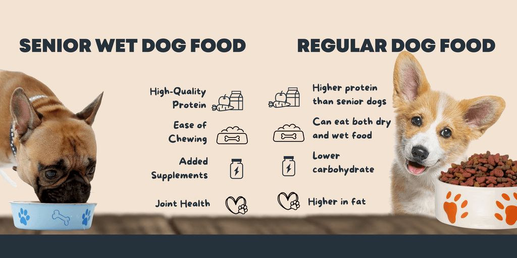 How Old Should My Dog Be for Adult Dog Food