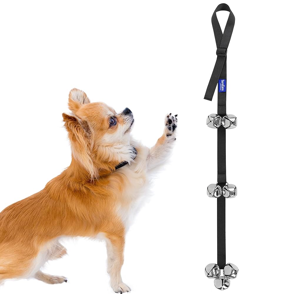 How to Bell Train Dog to Go Outside