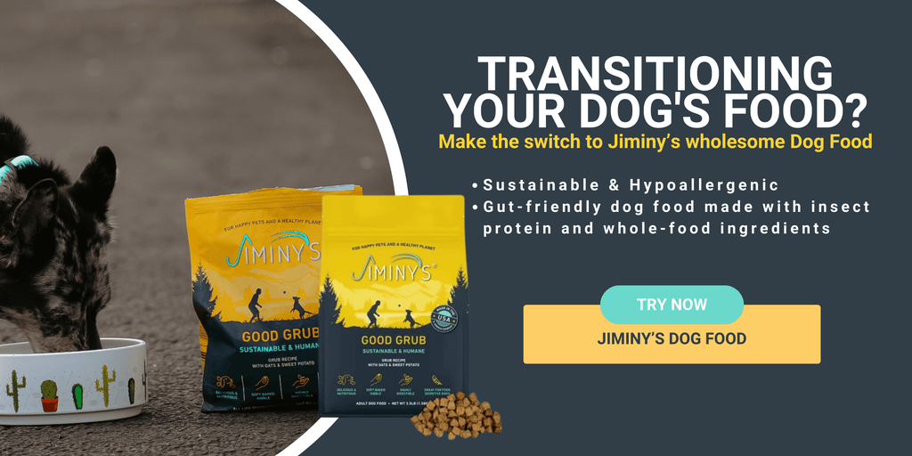 How to Change from Puppy to Adult Dog Food