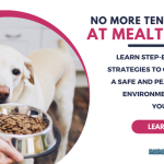 How to Cure Adult Dog Food Aggression