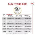 How to Feed Puppy Adult Dog Food