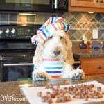 How to Make Dog Treats for Training