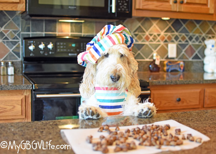 How to Make Dog Treats for Training