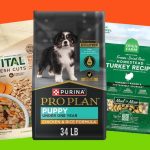 How to Pick an Adult Dog Food Brand