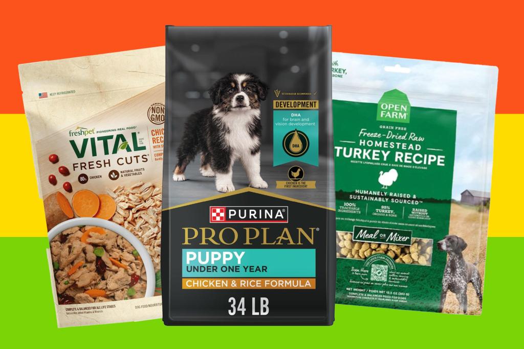 How to Pick an Adult Dog Food Brand