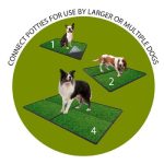 How to Potty Train a Dog Indoors