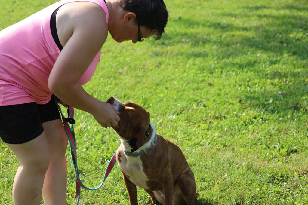 How to Potty Train an Untrainable Dog