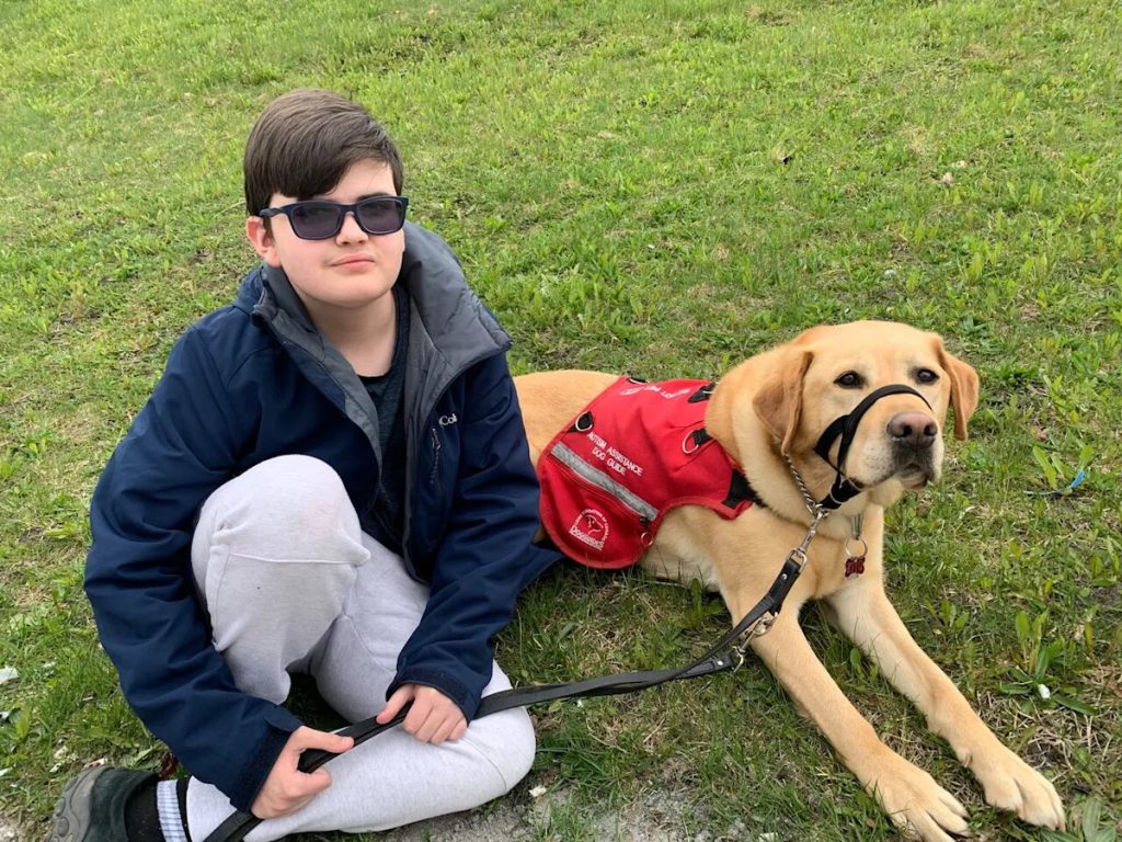 How to Train a Dog for Autism