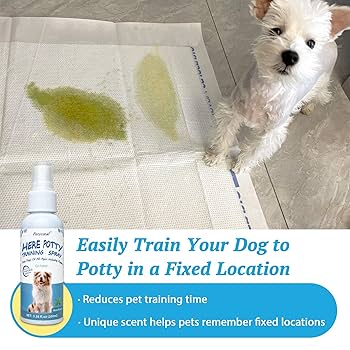 How to Train a Dog Not Poop in the House