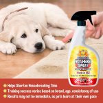 How to Train a Dog Not to Pee Inside