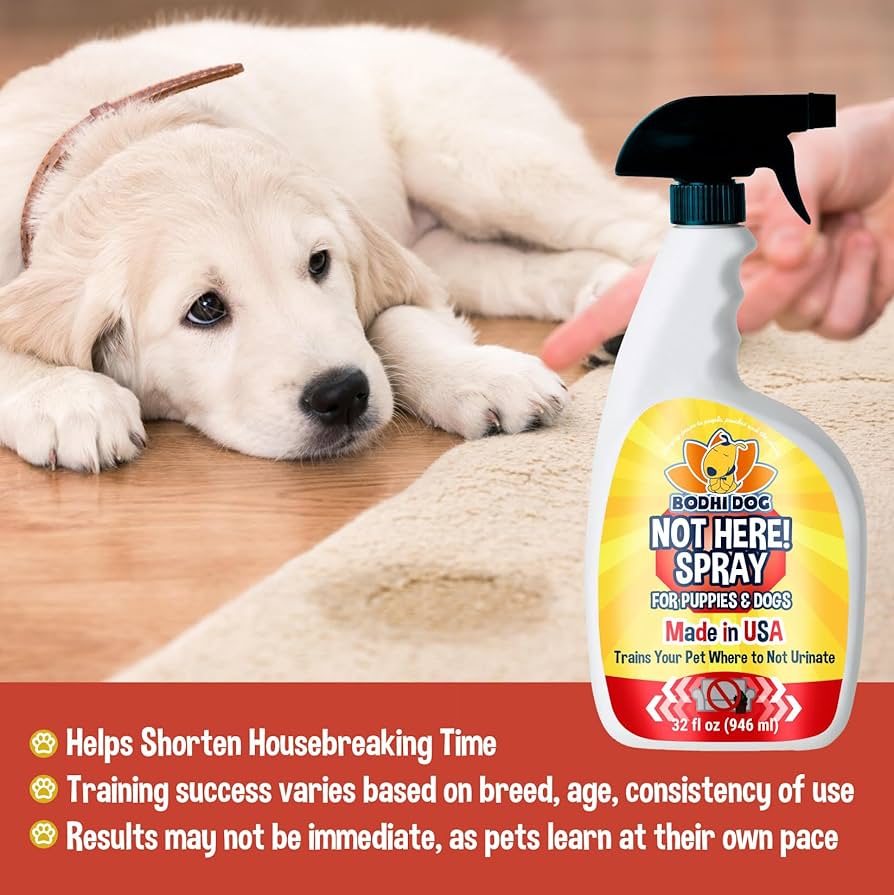How to Train a Dog Not to Pee Inside