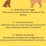 How to Train a Dog to Not Bark at People