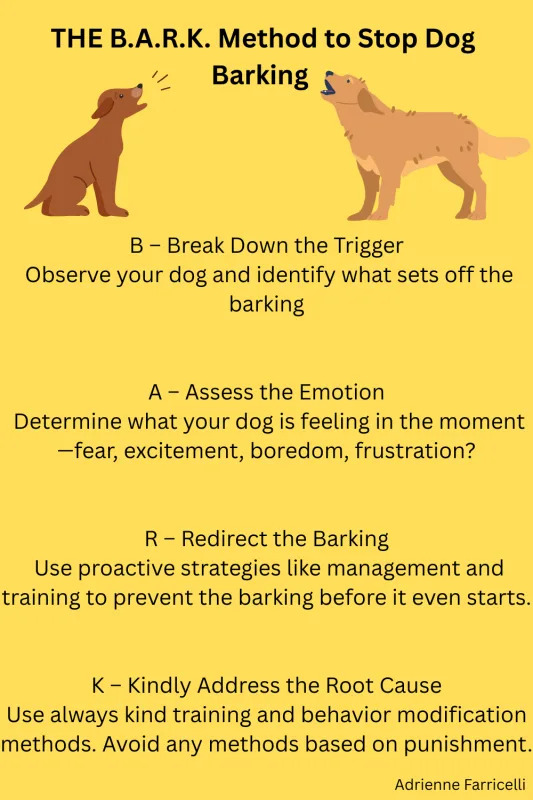 How to Train a Dog to Not Bark at People