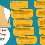 How to Train a Dog to Recognize Low Blood Sugar