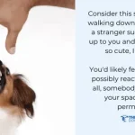 How to Train a Possessive Dog