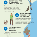 How to Train a Stubborn Dog to Come